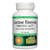 Natural Factors Lactase Enzyme - 60 Capsules